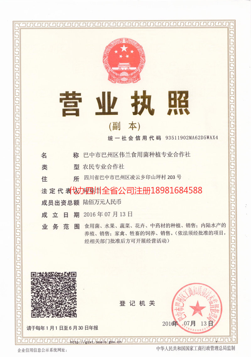 乐昌乐昌伟兰食用菌种植专业合作社